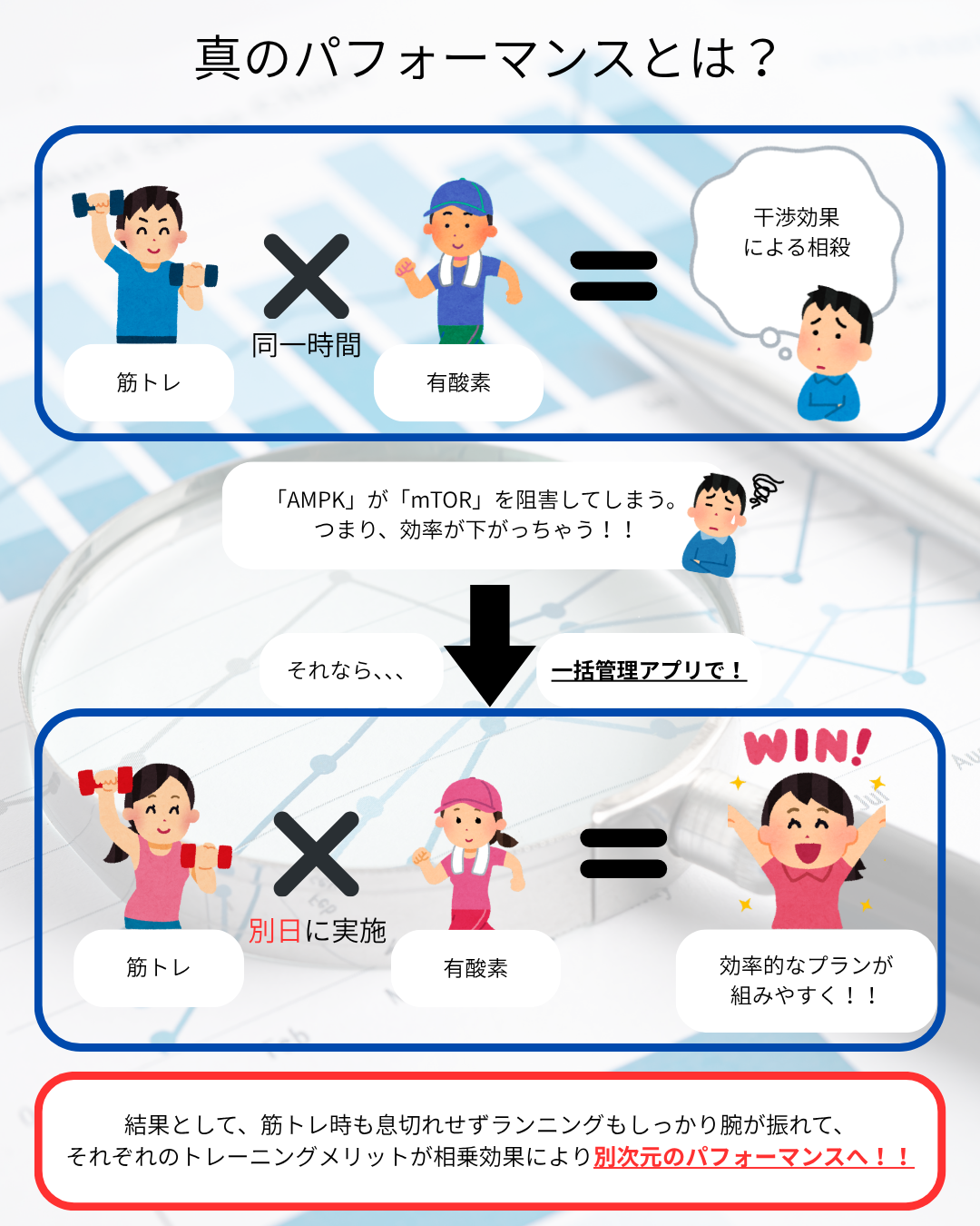 筋トレと有酸素の関係性